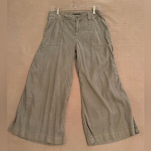 Level 99 wide leg ankle length pant